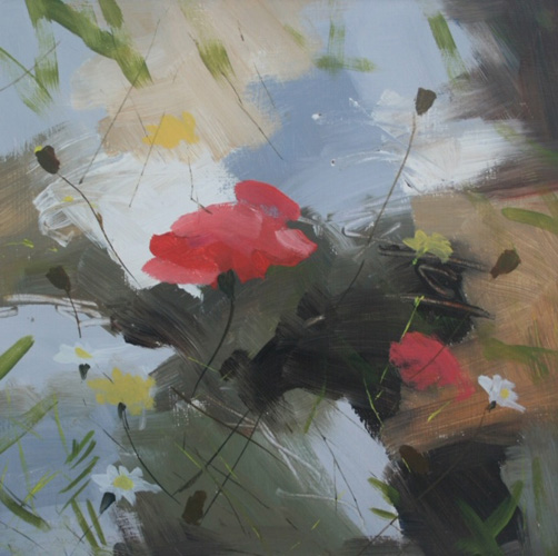 Brian-Steventon-Poppies-in-the-gorge---Zuheros