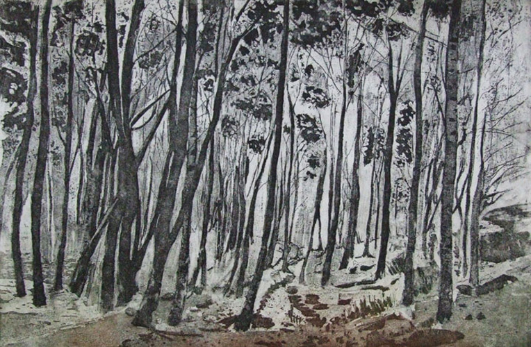 Linda-Nevill Through-the-trees---landscape--Etching-&-aquatint