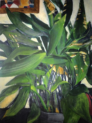 Ralph-Aldhous-Aspidistra