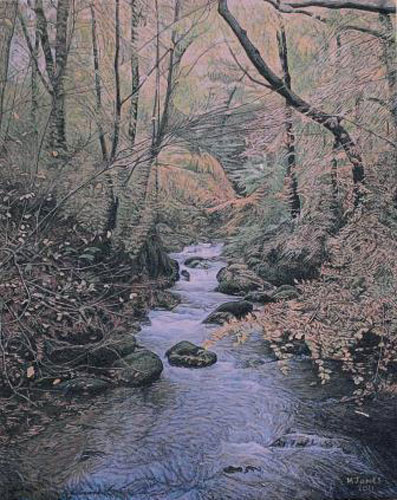 malcolm-Jones-Stock-Ghyll-Force-ws