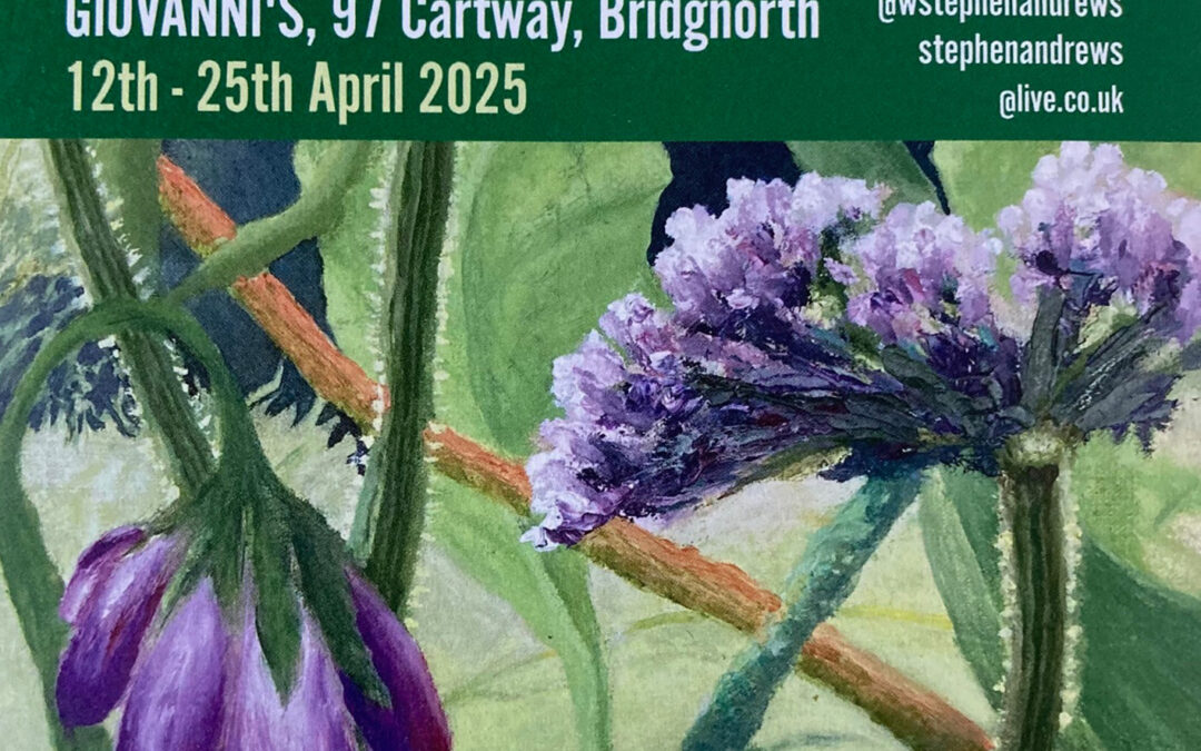 Stephen Andrews – 12 Months of Nature Exhibition